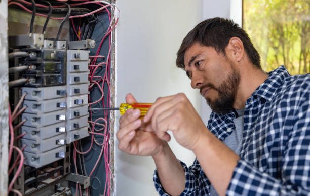 Best Electrical Panel Upgrades  in Hlside, IL